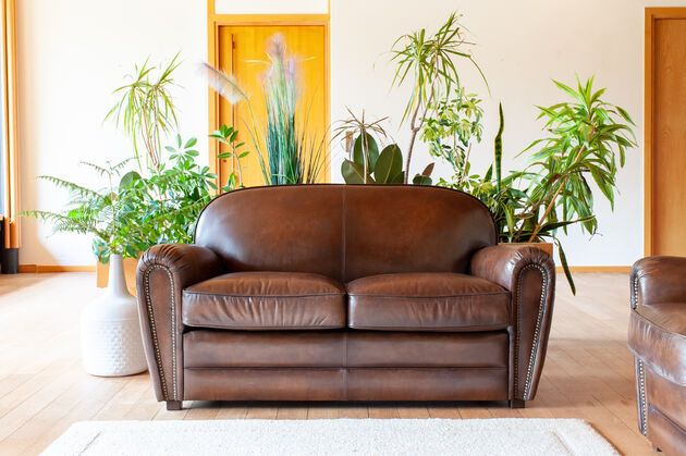 Club-Sofa für 2 Personen aus rehbraunem Leder English Coffee