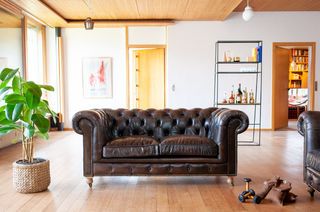 Ledersofa chesterfield Jahn