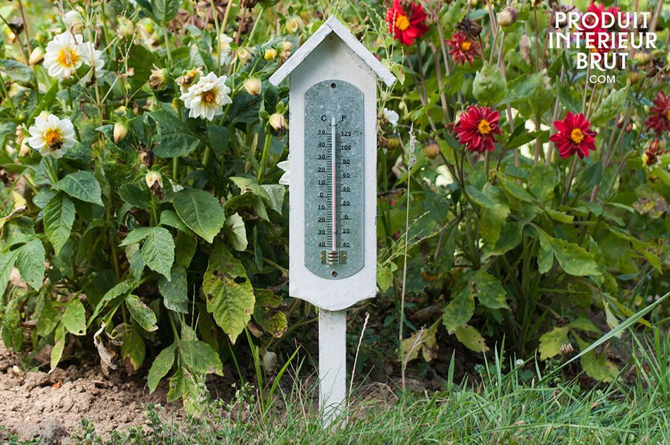 Weißes Thermometer für den Außen- / Innenbereich - – Garden Seeds Market